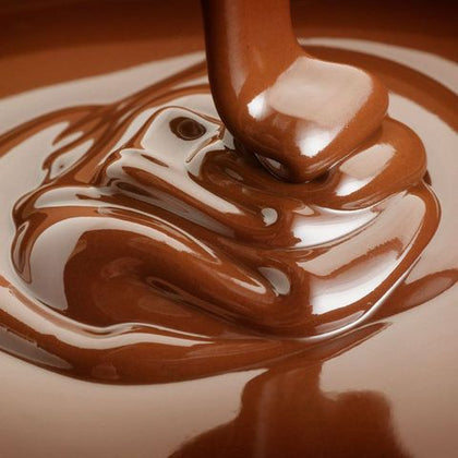 Mangharam Chocolate Solutions chocolate melter chocolate warmer