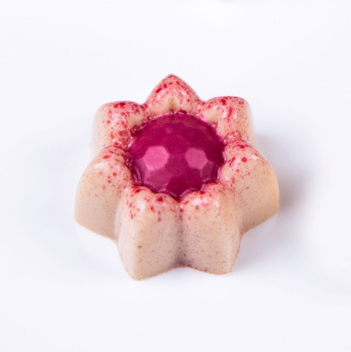 Martellato MA1055 / 11 g / 24 Cavities Polycarbonate Mould