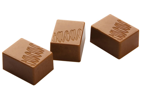 Chocolate Form Polycarbonate Mould CF0401 / 9 gr / 24 cavities from Italy