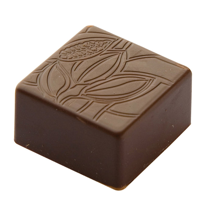 Chocolate Form CF0203 / 9 gr / 24 cavities from Polycarbonate Chocolate Mould