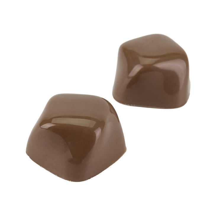 Martellato 21MA1085 / 10 g / 24 Cavities Polycarbonate Mould - Mangharam Chocolate Solutions