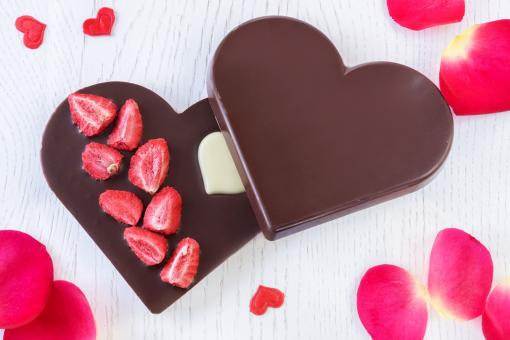 Hans Brunner RB9115-PC / 100 gr / 2 cavities Polycarbonate Chocolate Mould