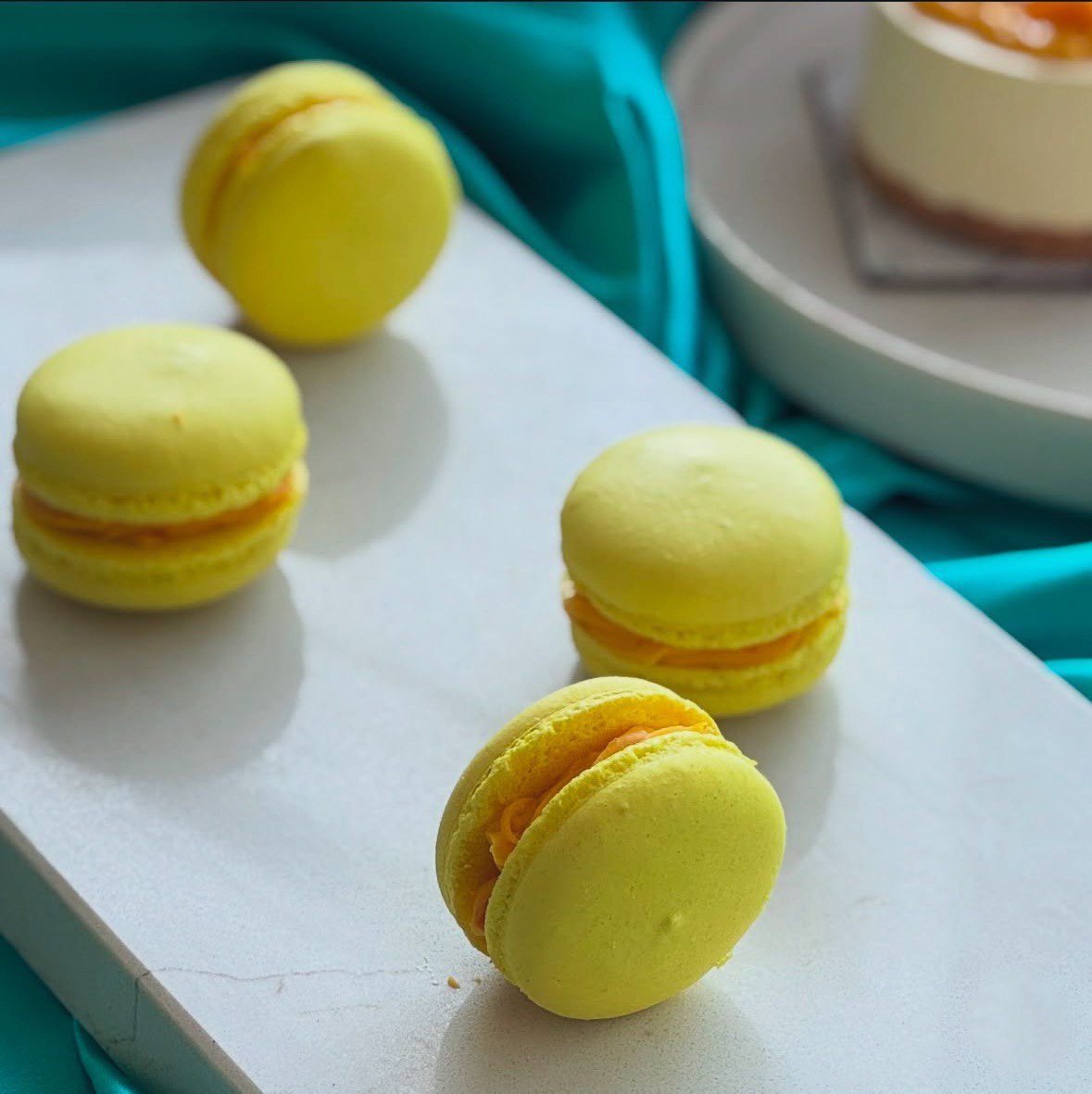 Natural Food Oil Soluble Colour for Chocolate and Cocoa Butter 100g Bottle - Set of 11 Colours