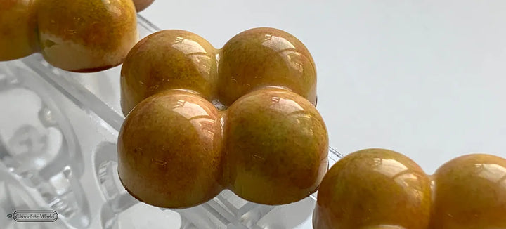 Chocolate World RM12155 / 13.3 g / 18 Cavities Polycarbonate Mould - Mangharam Chocolate Solutions