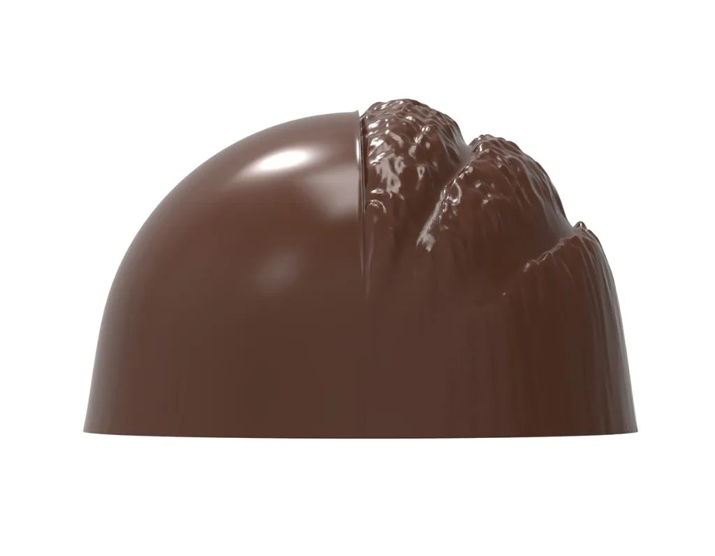 Chocolate World RM12167 / 10 g / 21 Cavities Polycarbonate Mould