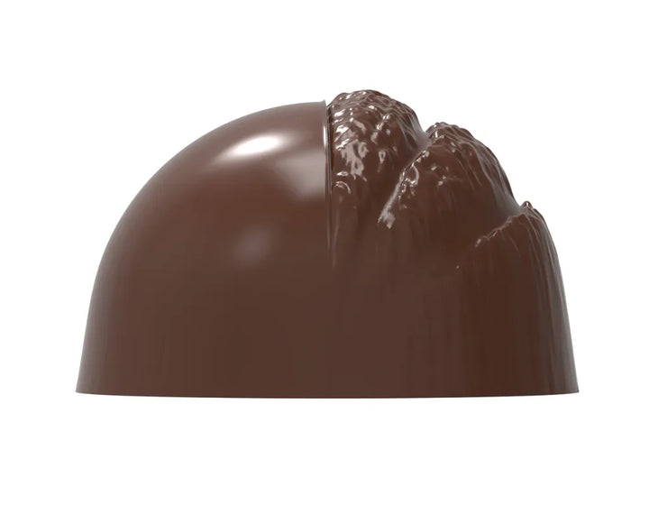 Chocolate World RM12167 / 10 g / 21 Cavities Polycarbonate Mould - Mangharam Chocolate Solutions