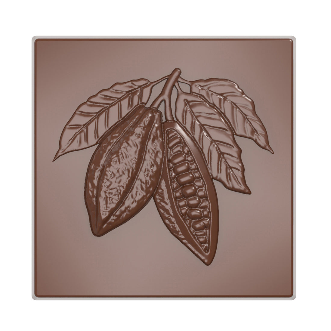 Chocolate World RM12168 / 5 g / 21 Cavities Polycarbonate Mould - Mangharam Chocolate Solutions