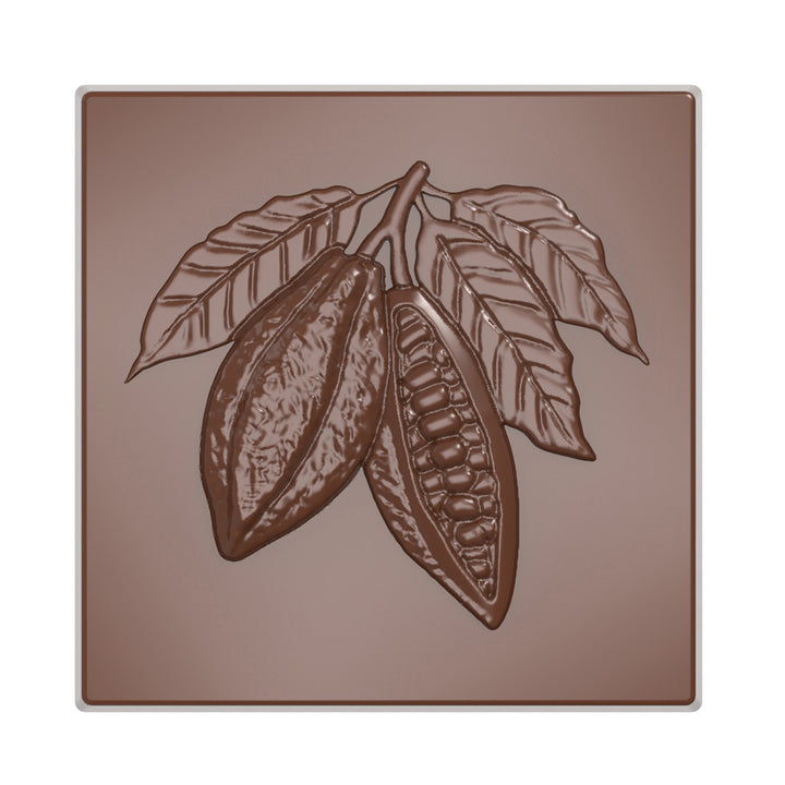 Chocolate World RM12168 / 5 g / 21 Cavities Polycarbonate Mould - Mangharam Chocolate Solutions