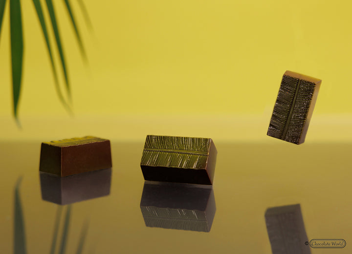 Chocolate World RM12170 / 11 g / 24 Cavities Polycarbonate Mould - Mangharam Chocolate Solutions