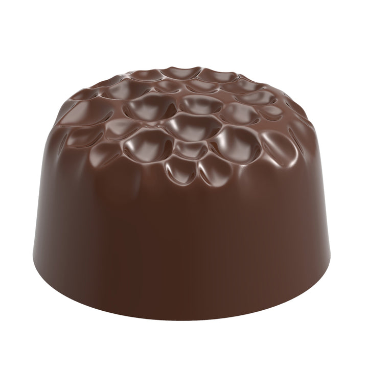 Chocolate World RM12172 / 12.5 g / 21 Cavities Polycarbonate Mould - Mangharam Chocolate Solutions