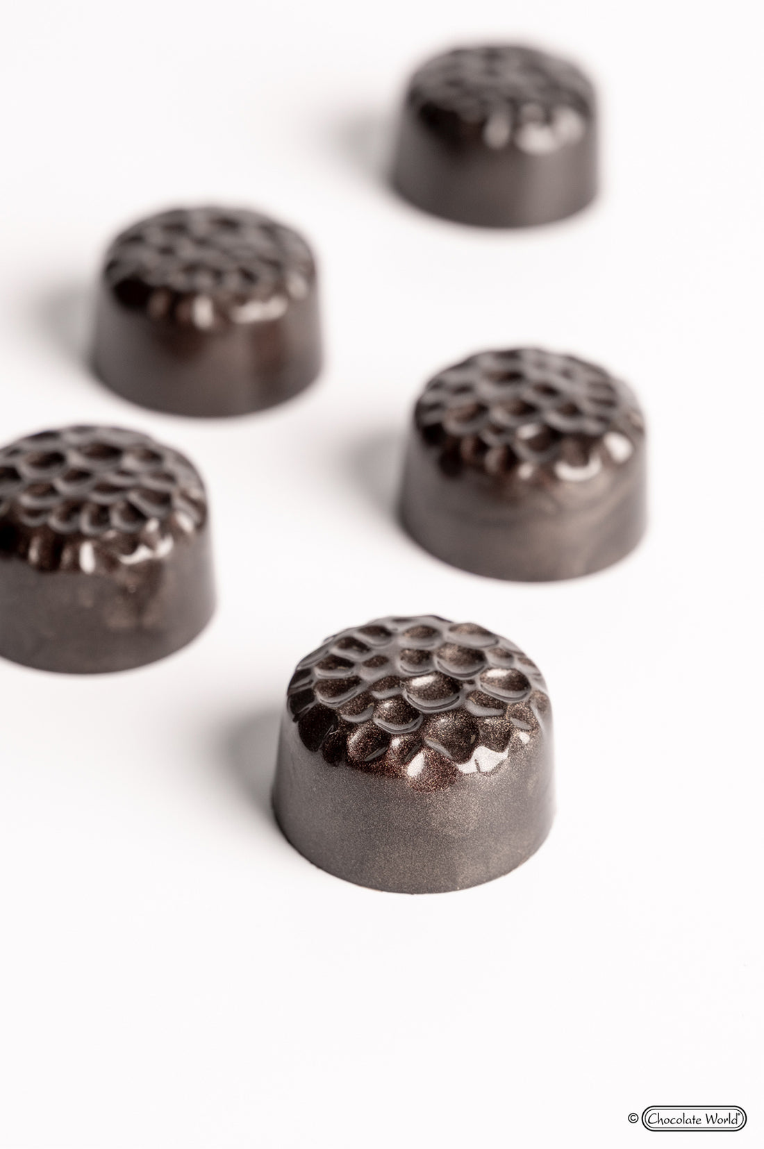 Chocolate World RM12172 / 12.5 g / 21 Cavities Polycarbonate Mould - Mangharam Chocolate Solutions