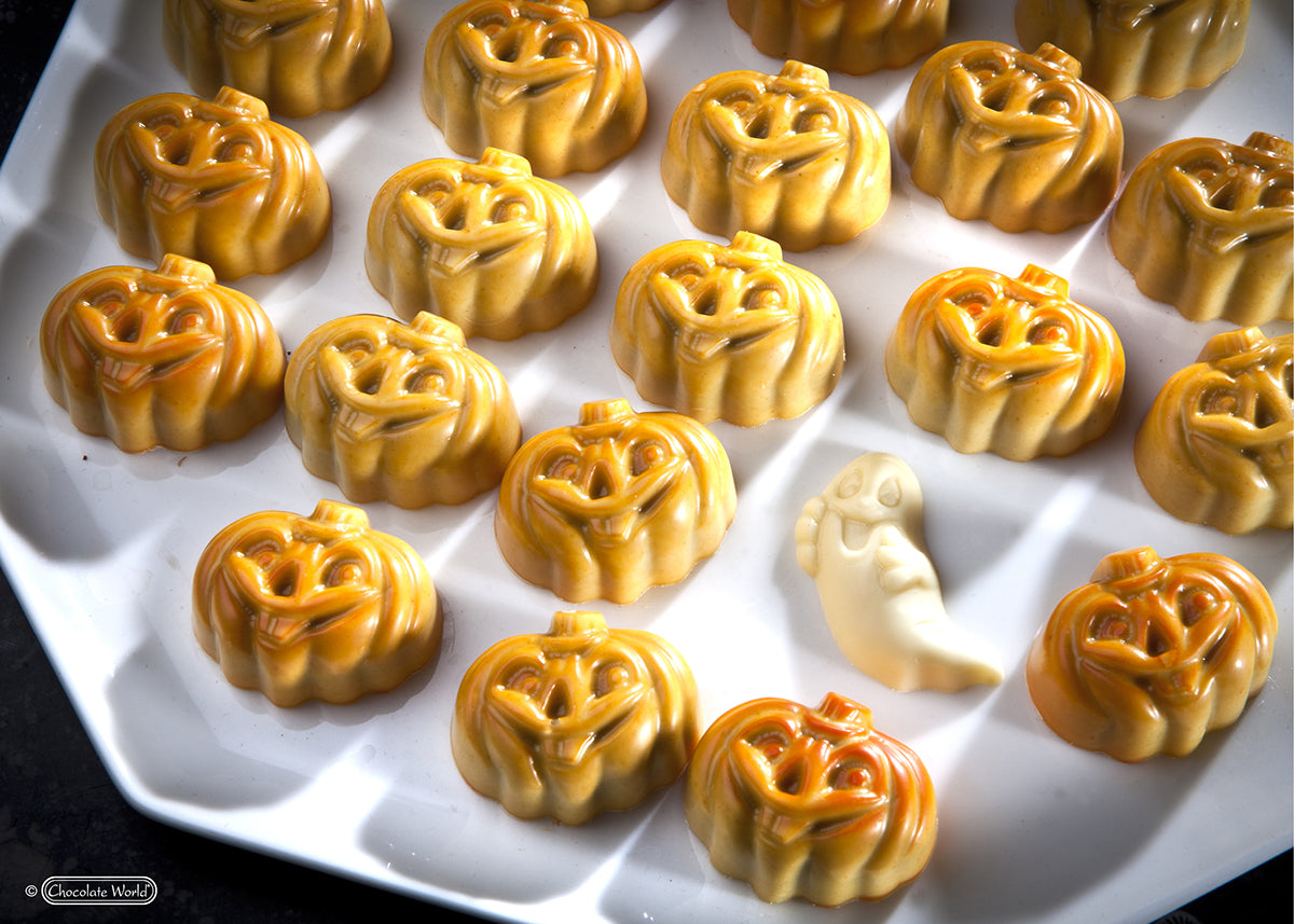 Chocolate World RM1520 / 12 gr / 24 cavities Polycarbonate Mould