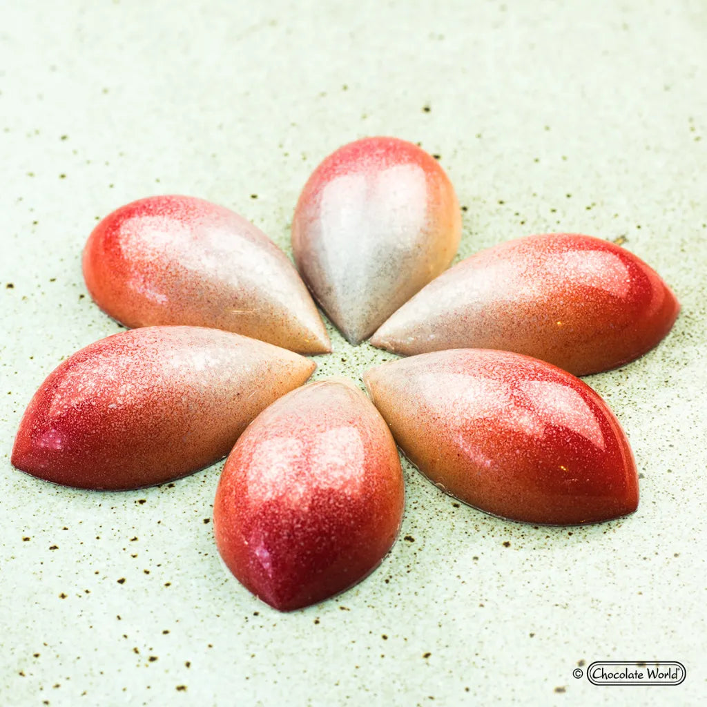 Chocolate World RM1673 / 10 g / 16 Cavities Polycarbonate Mould - Mangharam Chocolate Solutions