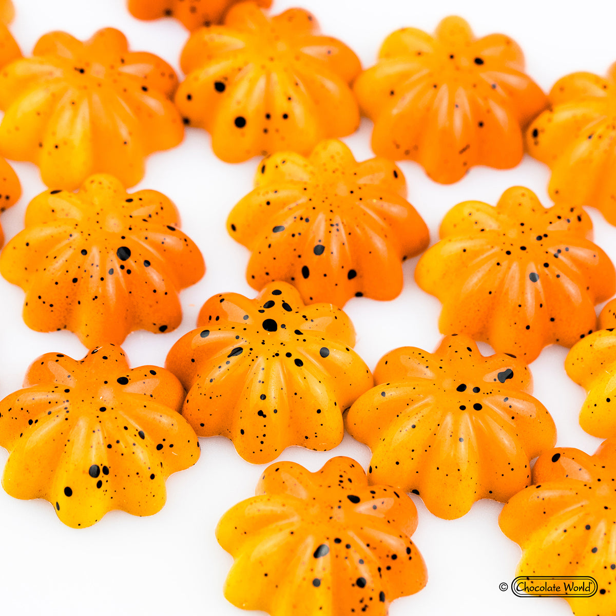 Chocolate World RM1917 / 5 g / 21 Cavities Polycarbonate Mould