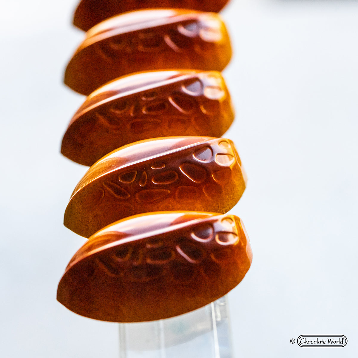 Chocolate World RM1946 / 12 g / 16 Cavities Polycarbonate Mould - Mangharam Chocolate Solutions