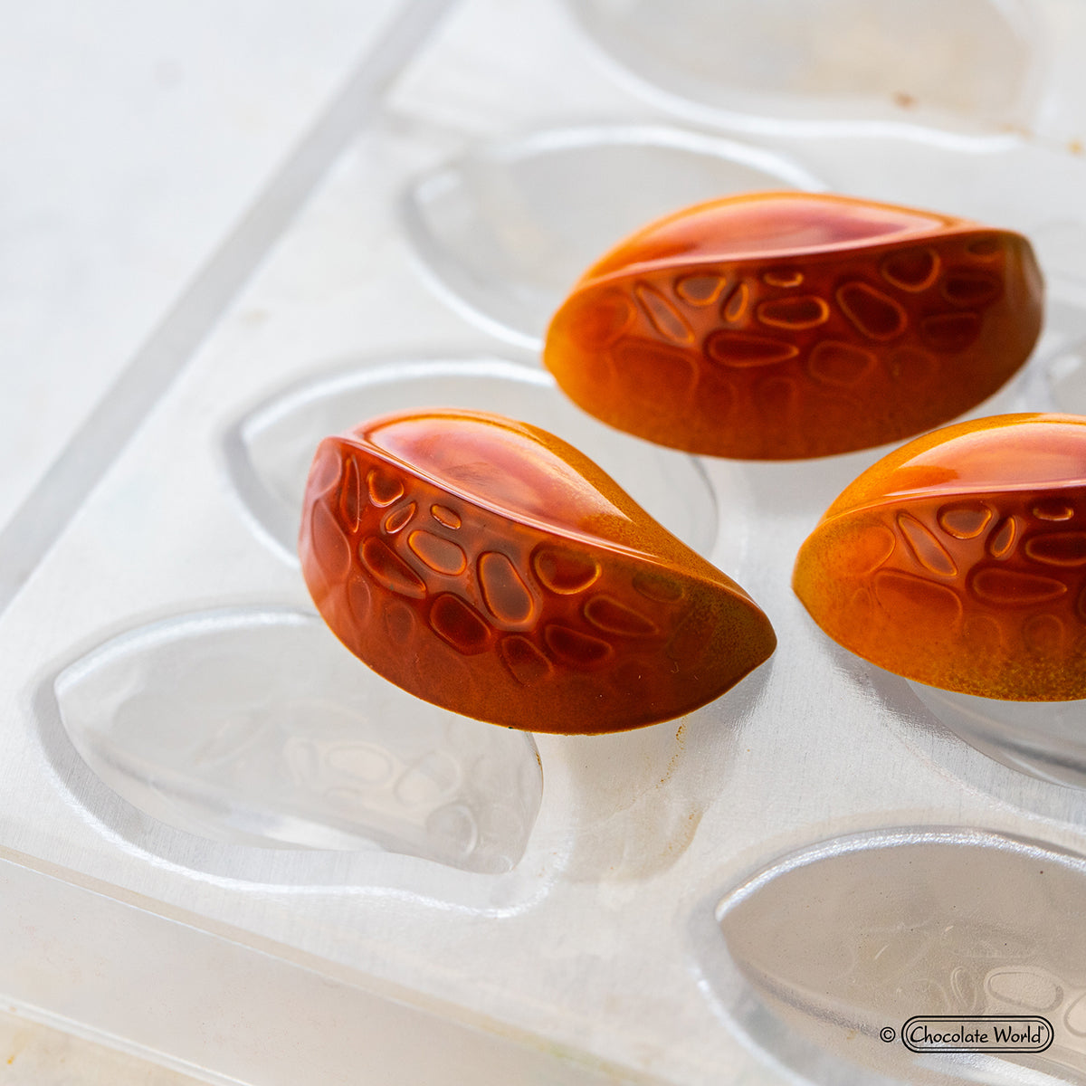 Chocolate World RM1946 / 12 g / 16 Cavities Polycarbonate Mould - Mangharam Chocolate Solutions