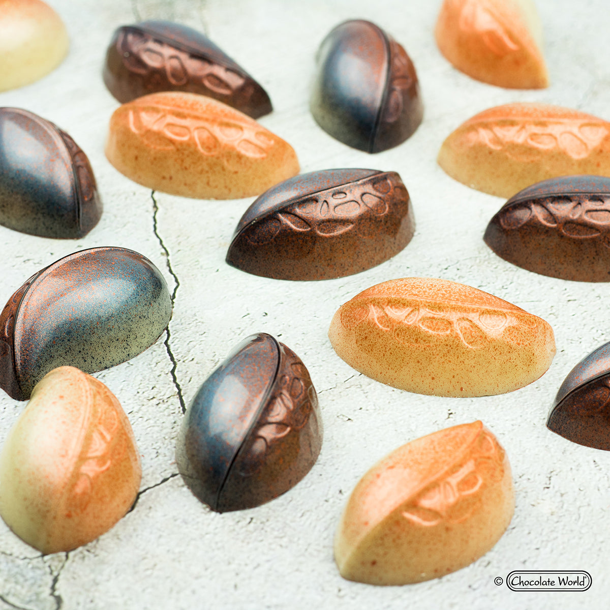 Chocolate World RM1946 / 12 g / 16 Cavities Polycarbonate Mould - Mangharam Chocolate Solutions