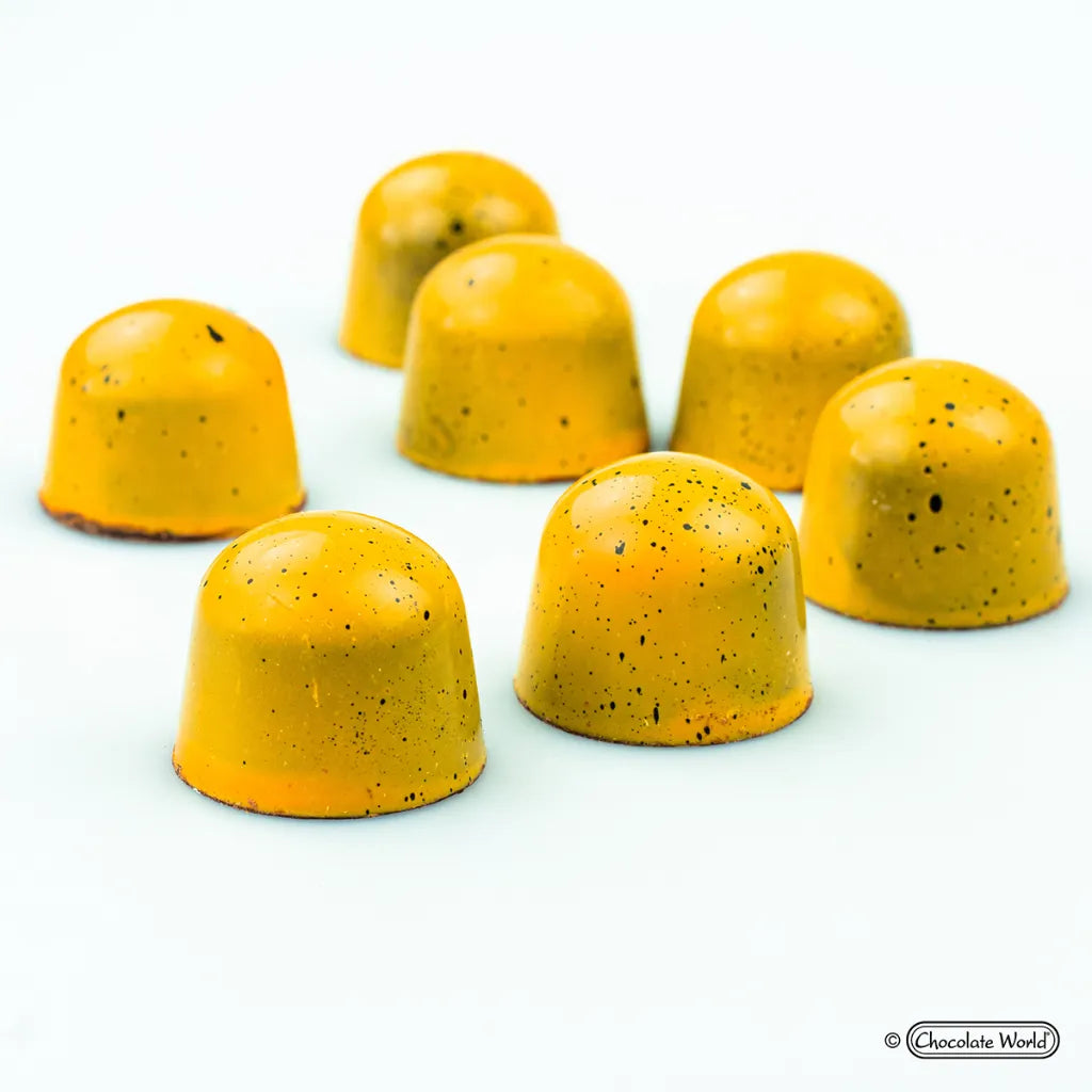 Chocolate World RM2116 / 14 g / 32 Cavities Polycarbonate Mould - Mangharam Chocolate Solutions