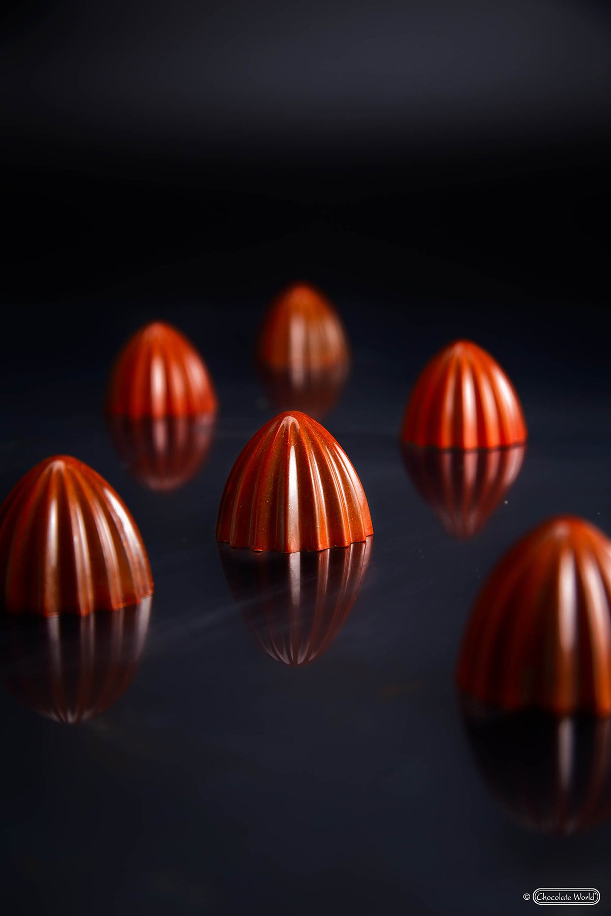 Chocolate World RM2474 / 12 g / 28 Cavities Polycarbonate Mould