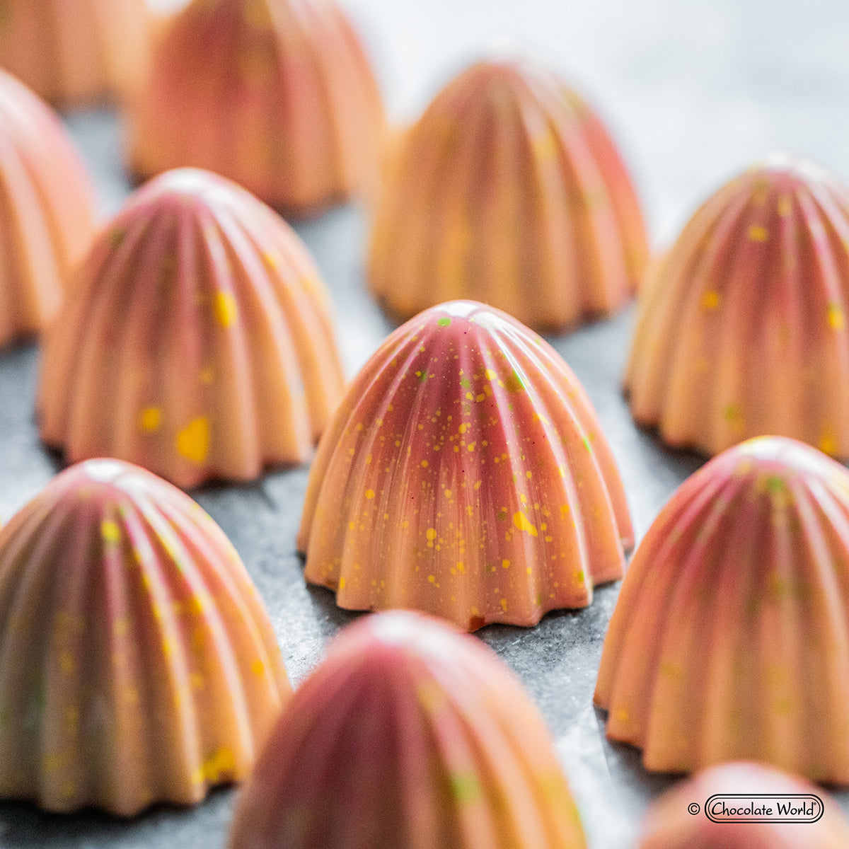 Chocolate World RM2474 / 12 g / 28 Cavities Polycarbonate Mould