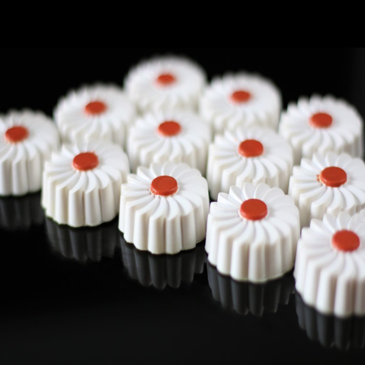 Implast IM465 / 10 g / 28 Cavities Polycarbonate Mould