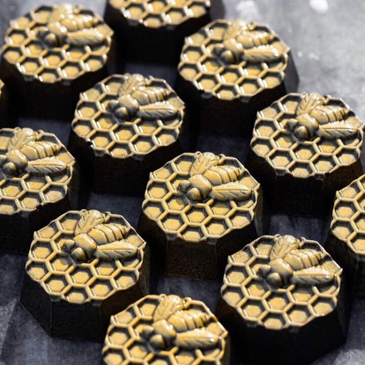 Implast IM670 / 10 g / 28 Cavities Polycarbonate Mould - Mangharam Chocolate Solutions