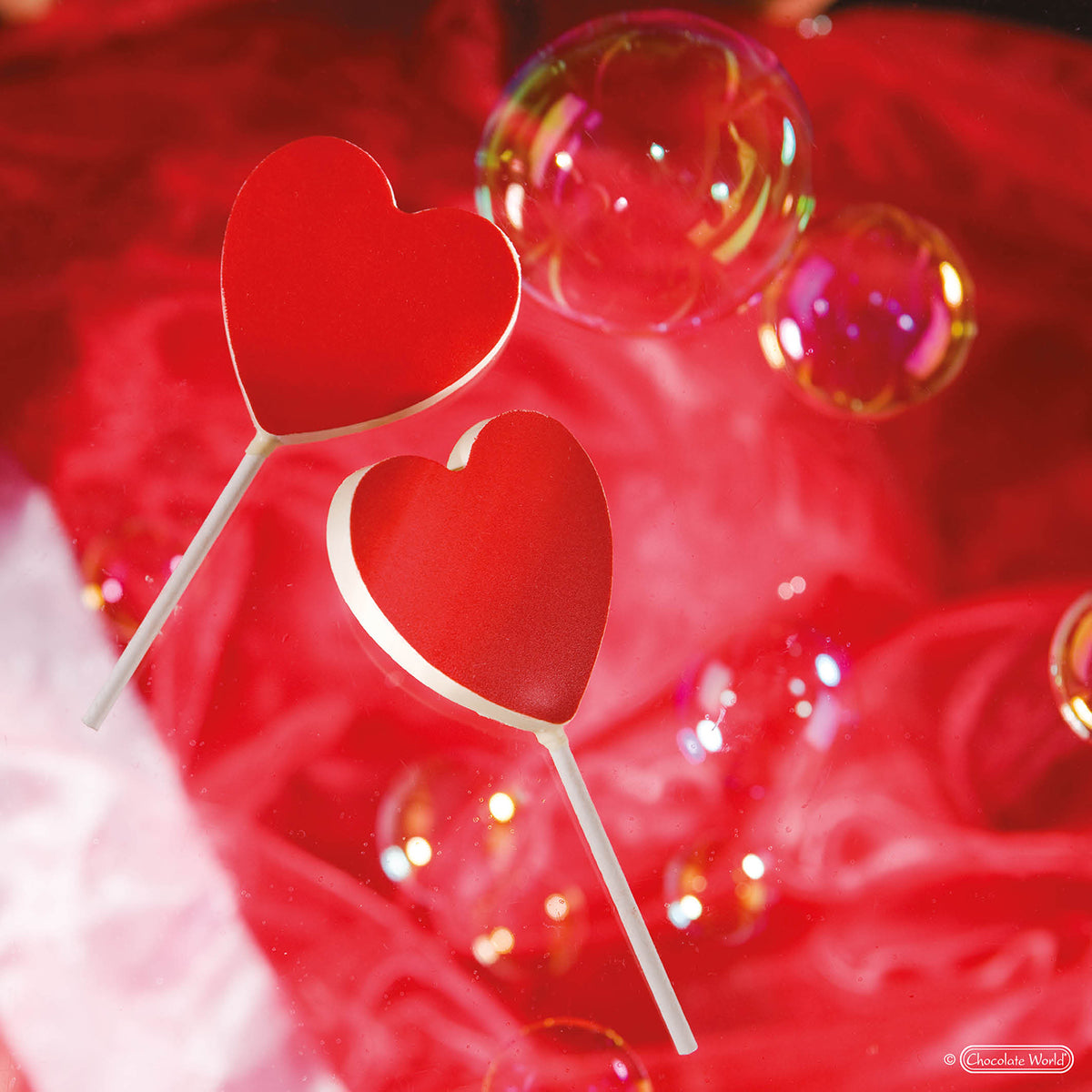 Chocolate World Polycarbonate Mould MMV2000L04 / 25 gr / 5 cavities - Mangharam Chocolate Solutions