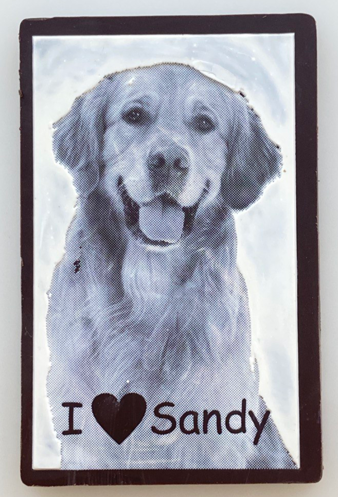 MMV 016 Business Card Magnetic Mould 85 x 55 MM + Logo Sheet Set