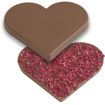 Hans Brunner RB9115-PC / 100 gr / 2 cavities Polycarbonate Chocolate Mould