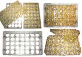 Chocolate Mould RA14563 - Mangharam Chocolate Solutions