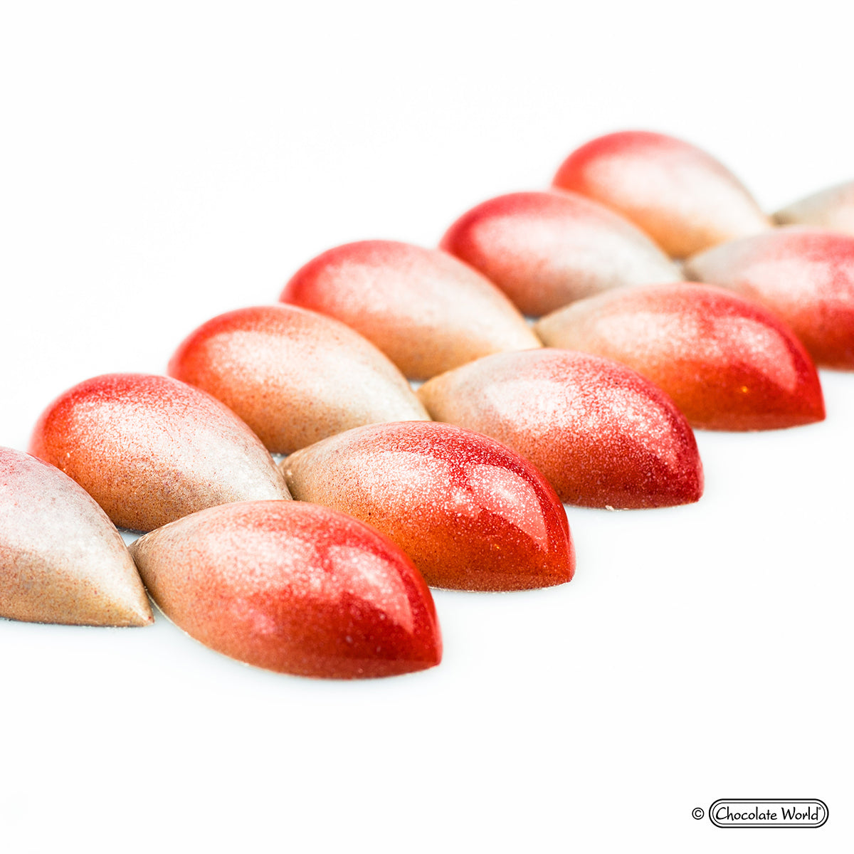 Chocolate World RM1673 / 10 g / 16 Cavities Polycarbonate Mould