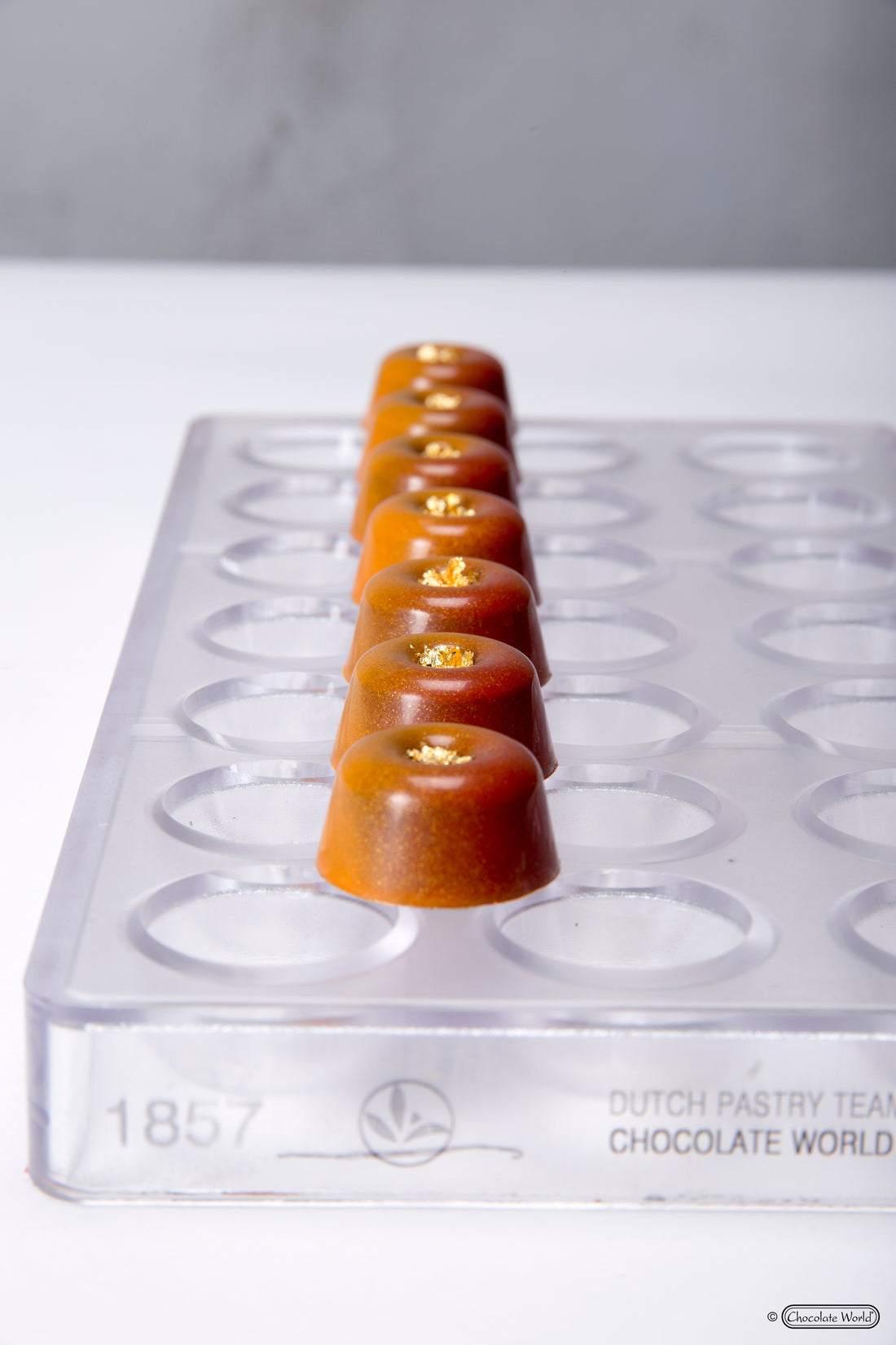 Chocolate World RM1857 / 9.5 gr / 21 cavities Polycarbonate Mould