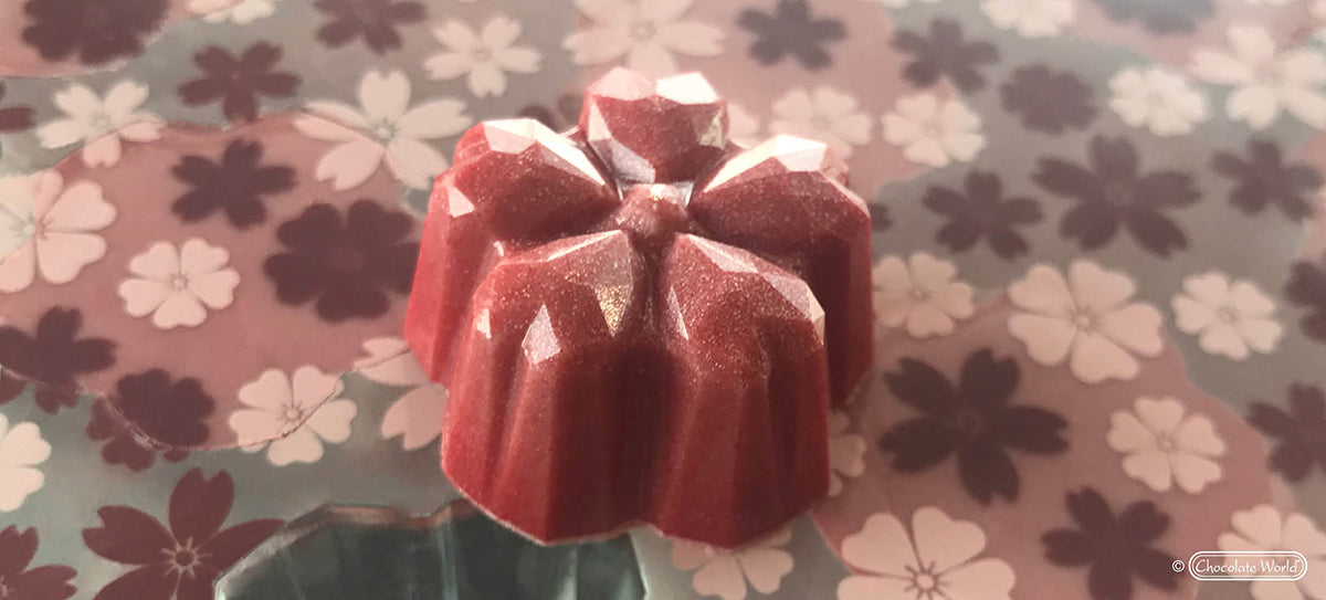 Chocolate World RM1918 / 9.5 g / 21 Cavities Polycarbonate Mould