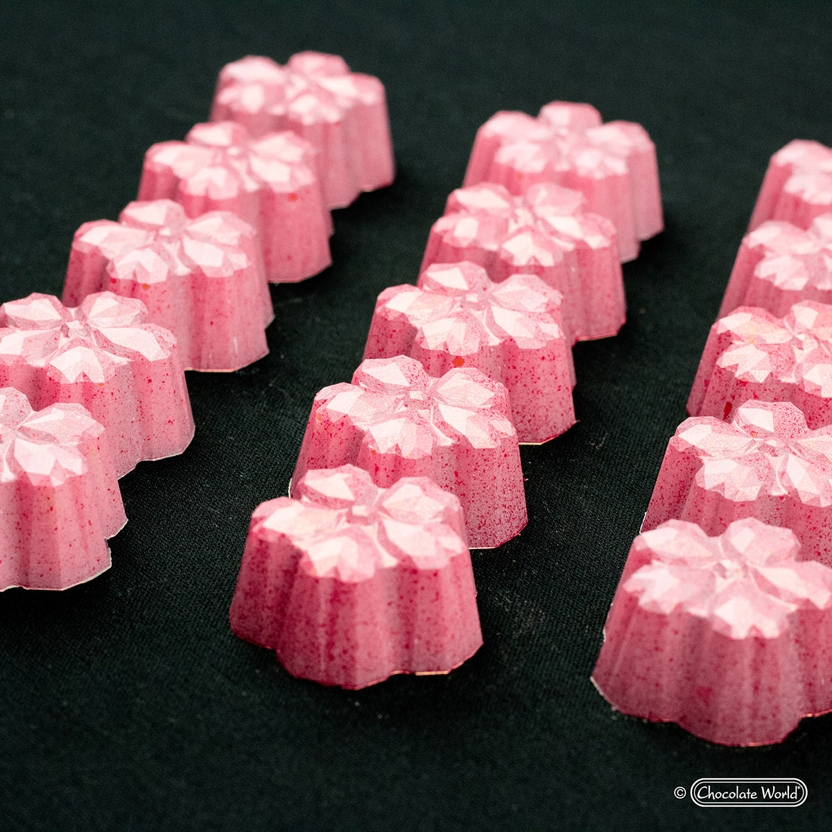 Chocolate World RM1918 / 9.5 g / 21 Cavities Polycarbonate Mould