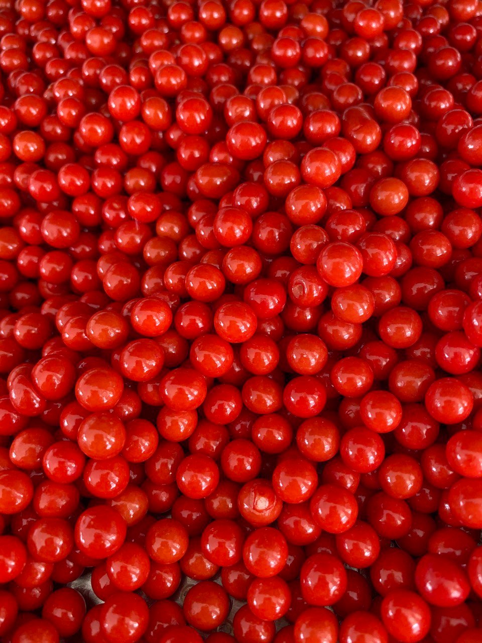 Vibrant red chocolate coated crispies for cake and icecream decor manufactured in Chocoman Spin Coating and Panning Machine from Mangharam