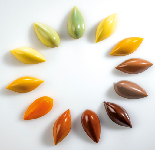 Martellato MA1012 / 9 g / 21 Cavities Polycarbonate Mould