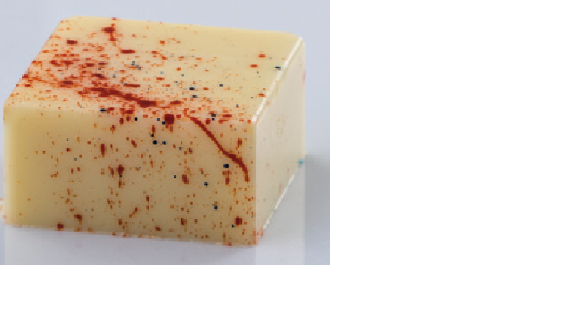 Chocolate Mould MA1980 - Mangharam Chocolate Solutions