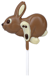 Chocolate Mould RB9023 - Mangharam Chocolate Solutions