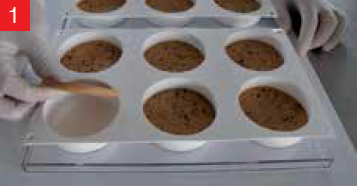 SILICON BISCO2  DISCOTTO - Mangharam Chocolate Solutions