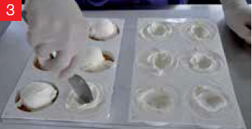 SILICON BISCO2  DISCOTTO - Mangharam Chocolate Solutions