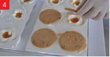 SILICON BISCO2  DISCOTTO - Mangharam Chocolate Solutions